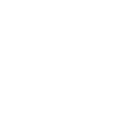 Gus